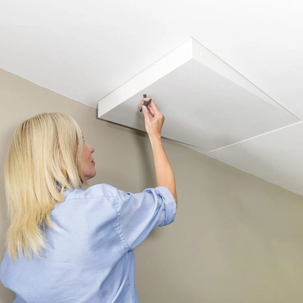 Invisible Loft Hatch